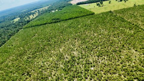 Tiny photo for TBD sw cr 141 Highway, Jasper, FL 32305 (MLS # 390277)