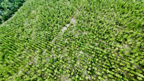 Tiny photo for TBD sw cr 141 Highway, Jasper, FL 32305 (MLS # 390277)