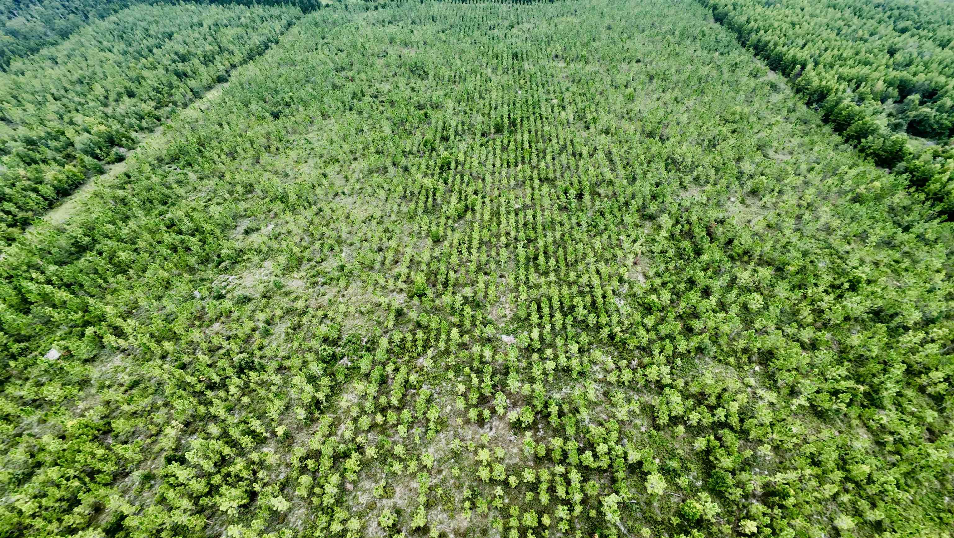 TBD sw cr 141 Highway