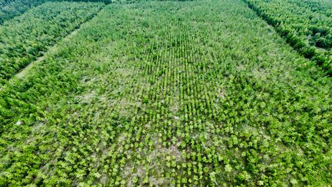 Tiny photo for TBD sw cr 141 Highway, Jasper, FL 32305 (MLS # 390277)