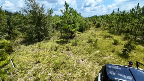 Tiny photo for TBD sw cr 141 Highway, Jasper, FL 32305 (MLS # 390277)