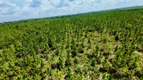 Tiny photo for TBD sw cr 141 Highway, Jasper, FL 32305 (MLS # 390277)