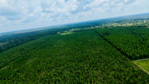 Photo of TBD sw cr 141 Highway, Jasper, FL 32305 (MLS # 390277)