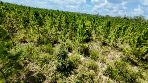 Tiny photo for TBD sw cr 141 Highway, Jasper, FL 32305 (MLS # 390277)