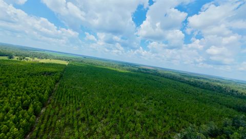 Tiny photo for TBD sw cr 141 Highway, Jasper, FL 32305 (MLS # 390277)