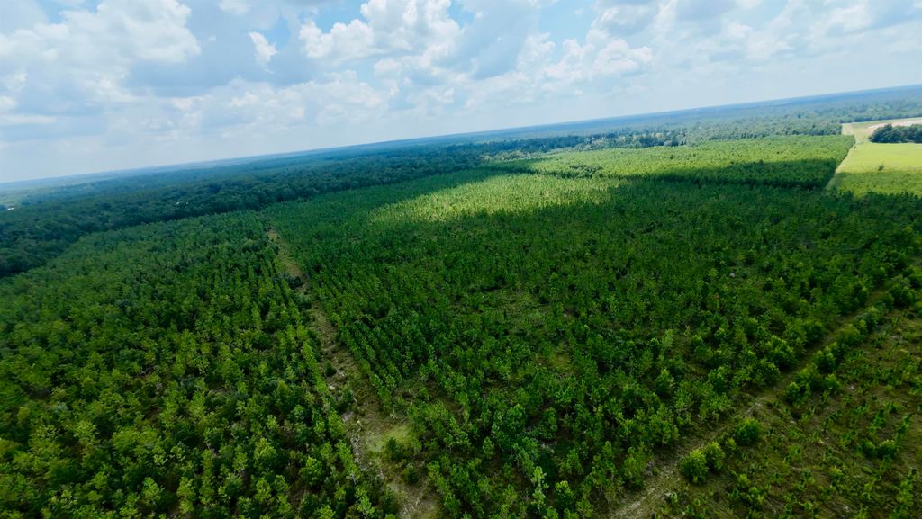 Photo of TBD sw cr 141 Highway, Jasper, FL 32305 (MLS # 390277)