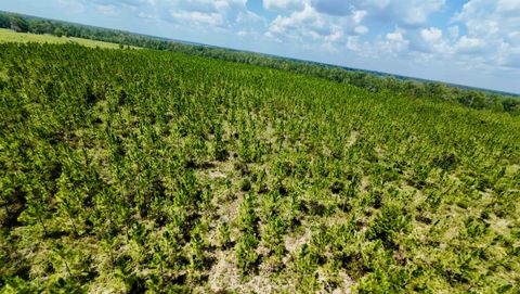 Tiny photo for TBD sw cr 141 Highway, Jasper, FL 32305 (MLS # 390277)