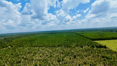 Tiny photo for TBD sw cr 141 Highway, Jasper, FL 32305 (MLS # 390277)