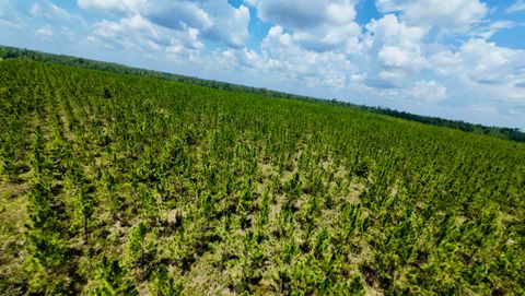 Tiny photo for TBD sw cr 141 Highway, Jasper, FL 32305 (MLS # 390277)