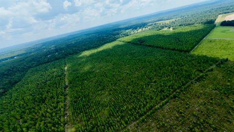 Tiny photo for TBD sw cr 141 Highway, Jasper, FL 32305 (MLS # 390277)