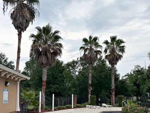 Tiny photo for 3358 Fort Collins Lane #1404, Tallahassee, FL 32304 (MLS # 402101)