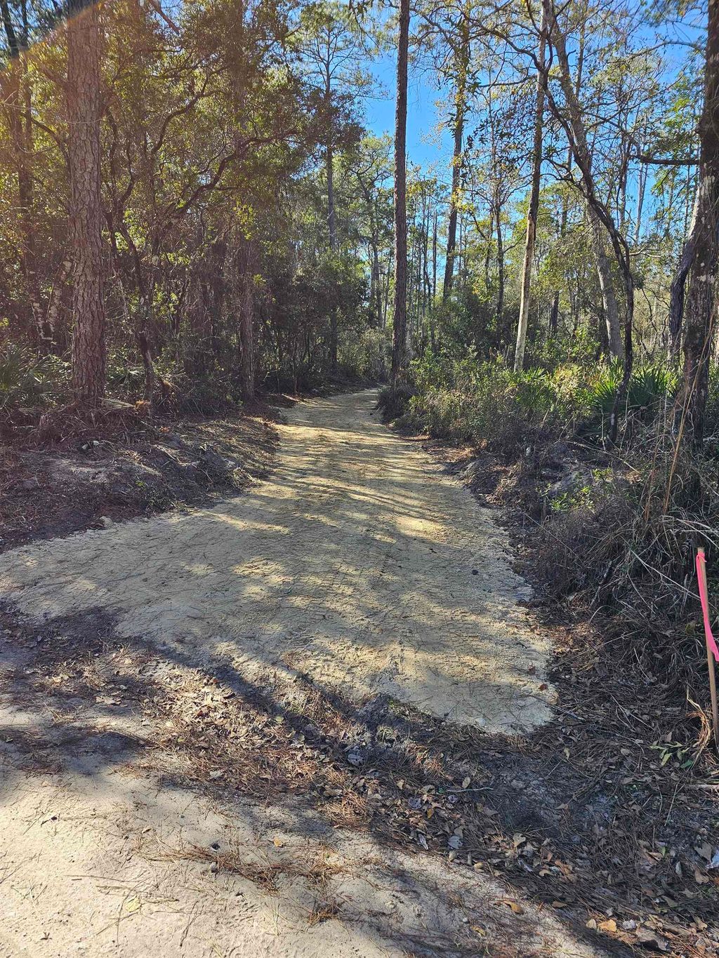 Photo of 40 MACKERY WOODS Road, Sopchoppy, FL 32358 (MLS # 395750)