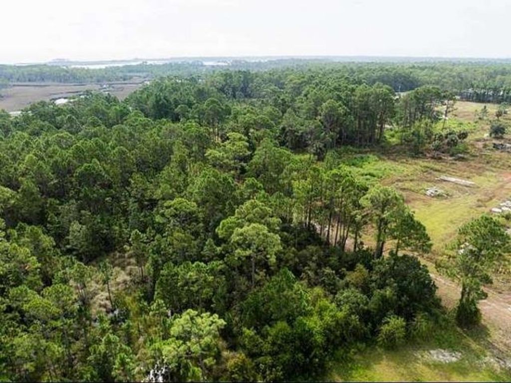 Photo of 886 Coastal Highway, Panacea, FL 32346 (MLS # 398389)