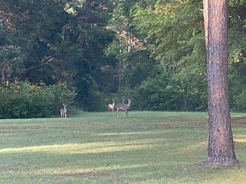 Tiny photo for 9006 Chayes Lane, Tallahassee, FL 32309 (MLS # 388845)