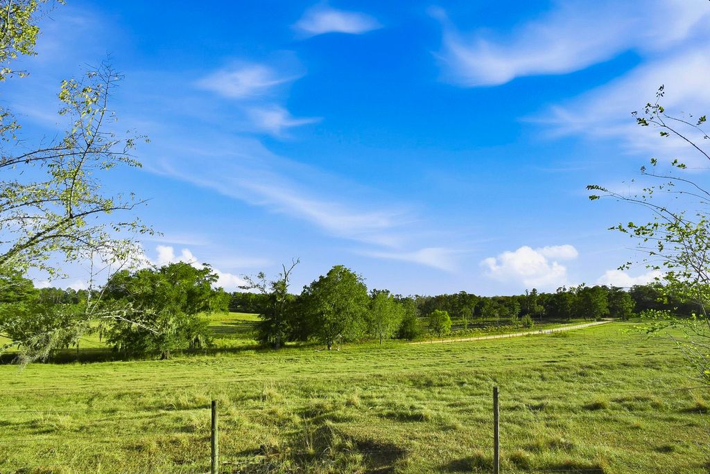 Photo of 1259 NW Hawks Ave Avenue, Greenville, FL 32331 (MLS # 394837)