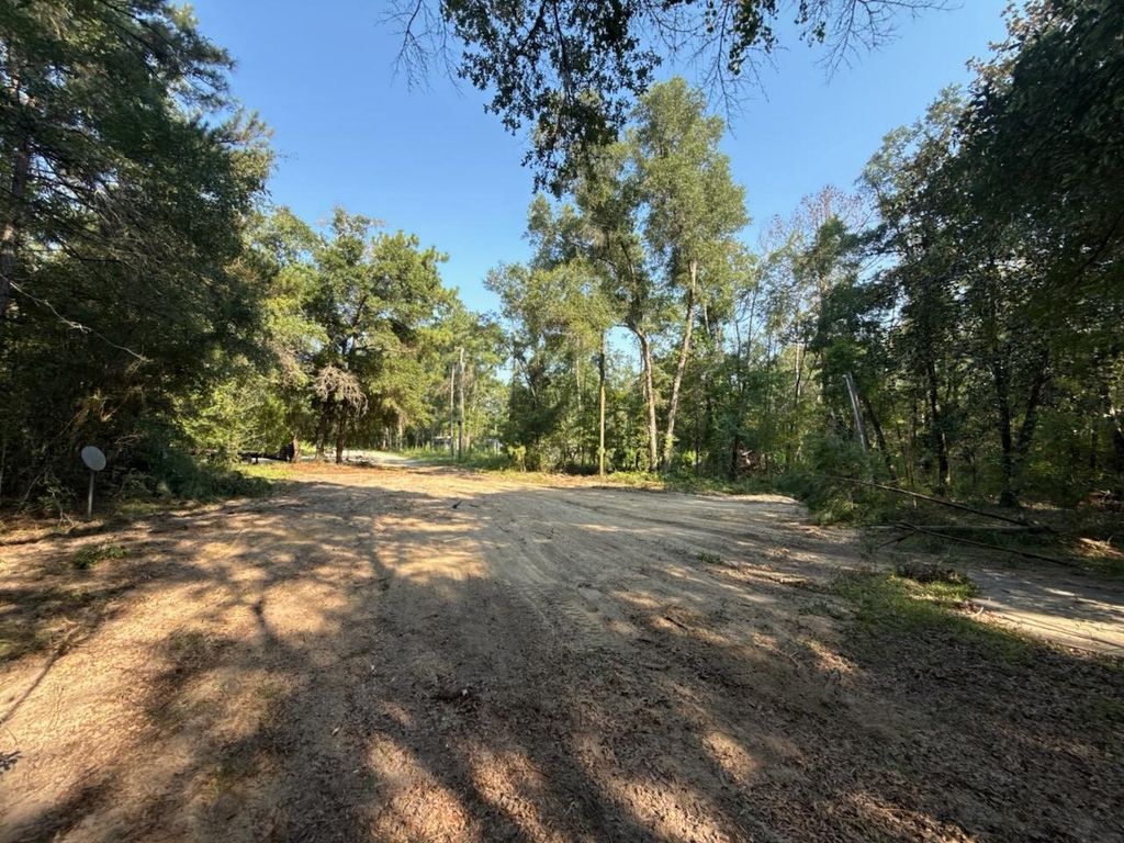 Photo of 130 Sweetfield Road, Monticello, FL 32344 (MLS # 402857)