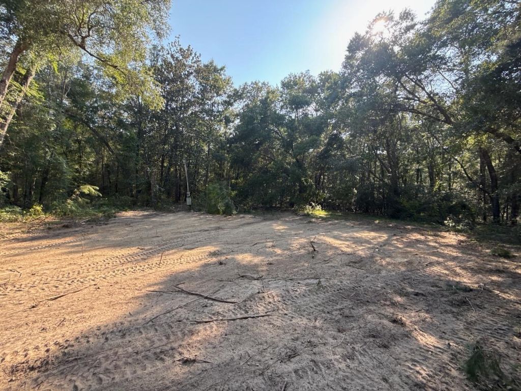 Photo of 130 Sweetfield Road, Monticello, FL 32344 (MLS # 402857)