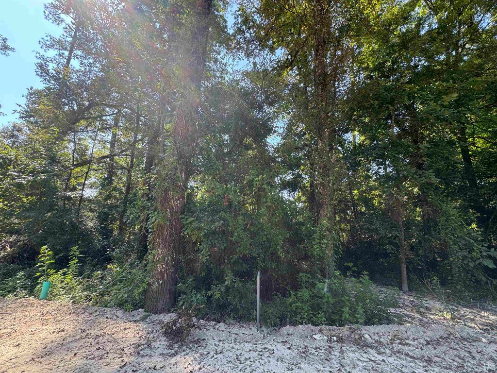 Photo of 0 Sioux Trail, Crawfordville, FL 32327 (MLS # 392684)