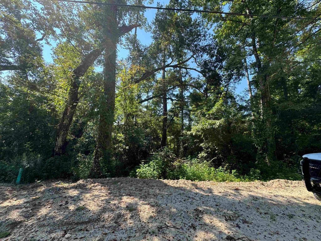 Photo of 0 Sioux Trail, Crawfordville, FL 32327 (MLS # 392684)