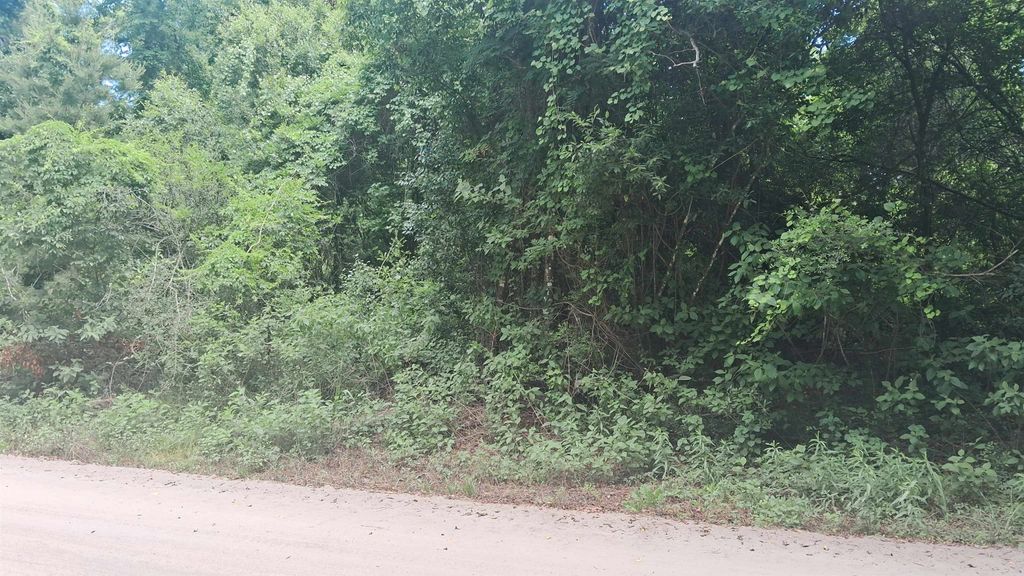 Photo of 0 Choctaw Road, Crawfordville, FL 32327 (MLS # 399919)
