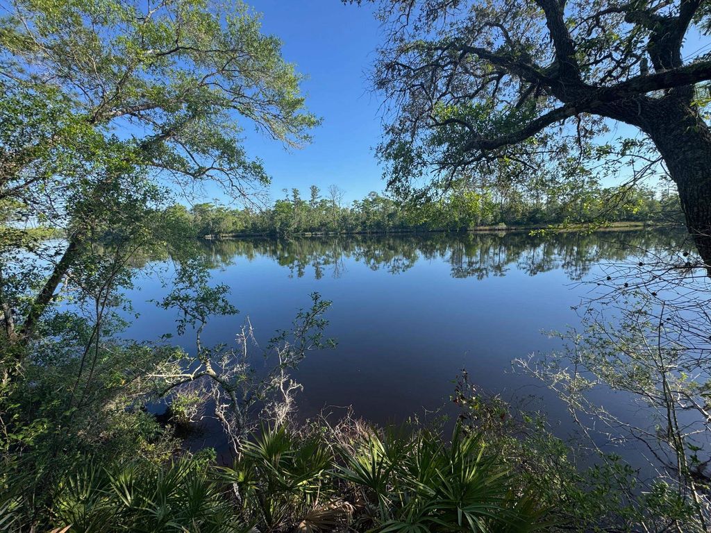 Photo of 455 McIntyre Road, Sopchoppy, FL 32320 (MLS # 399086)