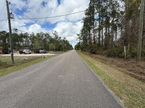 Tiny photo for 10020 Baylor Avenue, Other Florida, FL 32145 (MLS # 397960)
