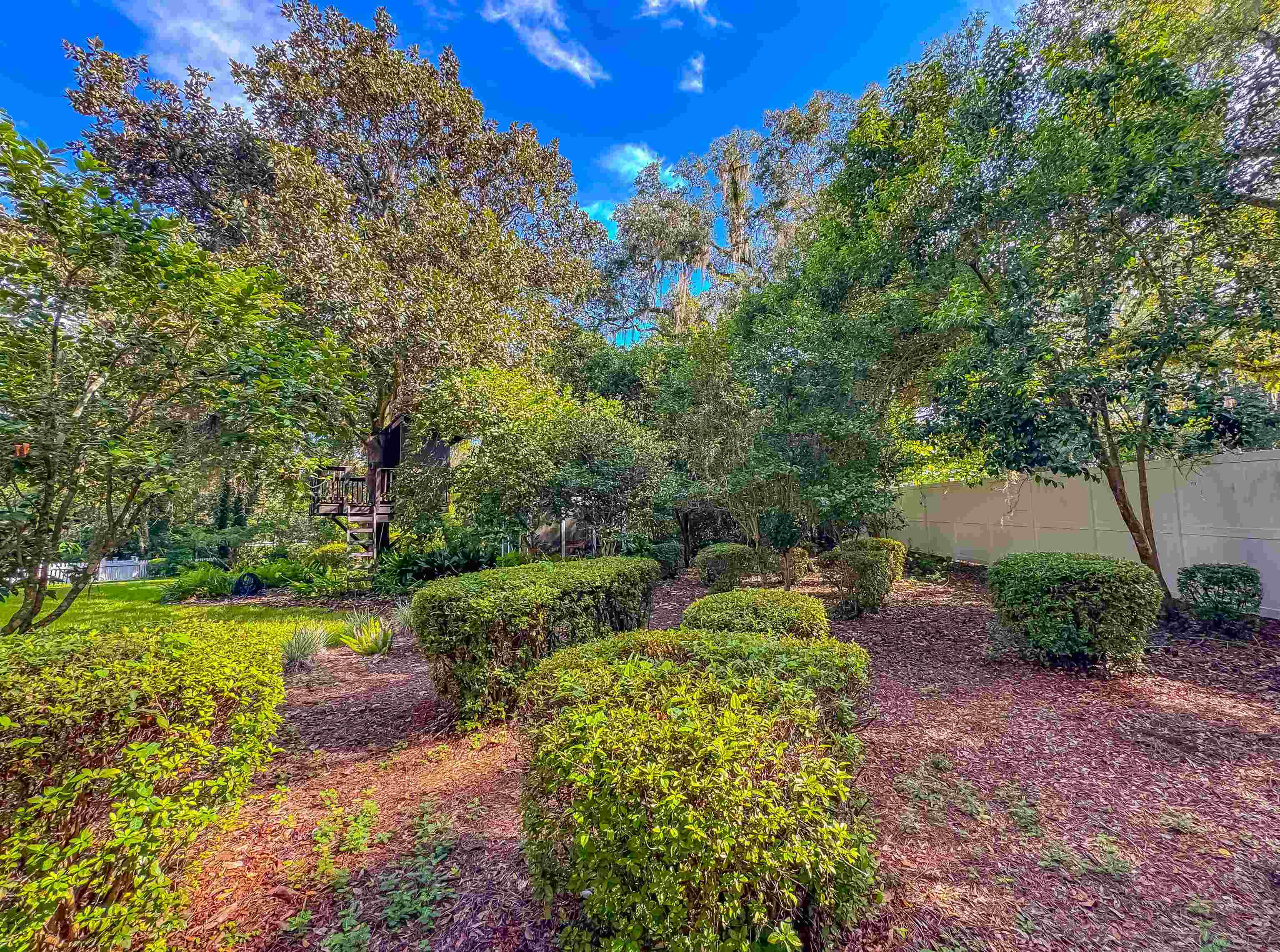 1117 Myers Park Drive