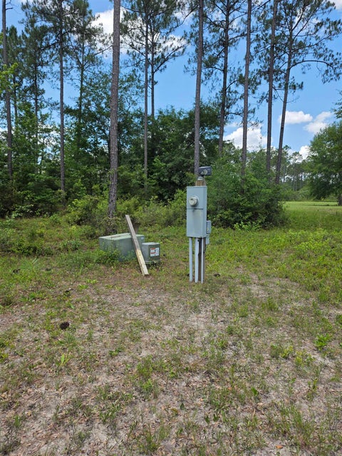 Tiny photo for 25516 Cinelli Lake Circle, Hosford, FL 32334 (MLS # 401531)