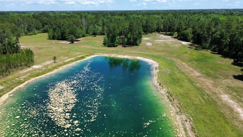 Tiny photo for 25516 Cinelli Lake Circle, Hosford, FL 32334 (MLS # 401531)
