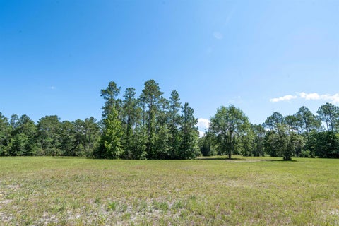 Tiny photo for 25516 Cinelli Lake Circle, Hosford, FL 32334 (MLS # 401531)