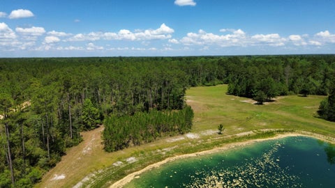 Tiny photo for 25516 Cinelli Lake Circle, Hosford, FL 32334 (MLS # 401531)