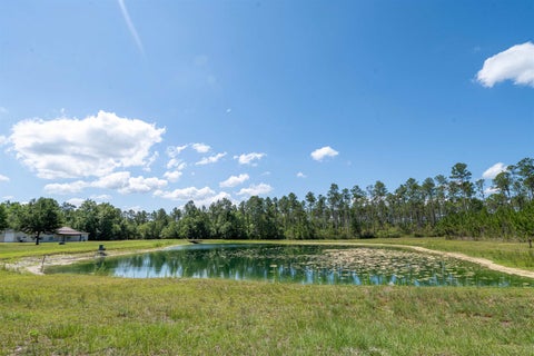 Tiny photo for 25516 Cinelli Lake Circle, Hosford, FL 32334 (MLS # 401531)