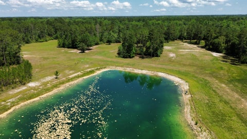 Tiny photo for 25516 Cinelli Lake Circle, Hosford, FL 32334 (MLS # 401531)