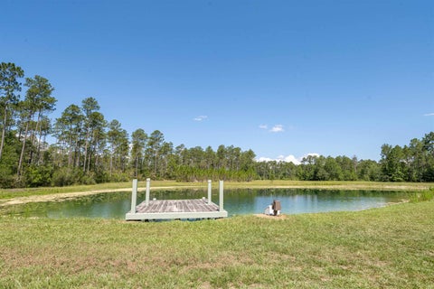 Tiny photo for 25516 Cinelli Lake Circle, Hosford, FL 32334 (MLS # 401531)