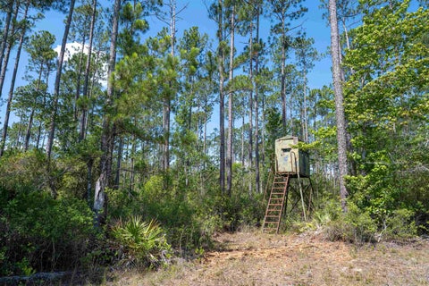 Tiny photo for 25516 Cinelli Lake Circle, Hosford, FL 32334 (MLS # 401531)