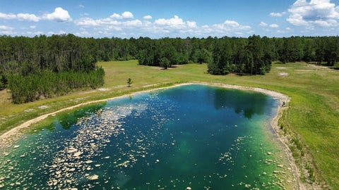 Tiny photo for 25516 Cinelli Lake Circle, Hosford, FL 32334 (MLS # 401531)