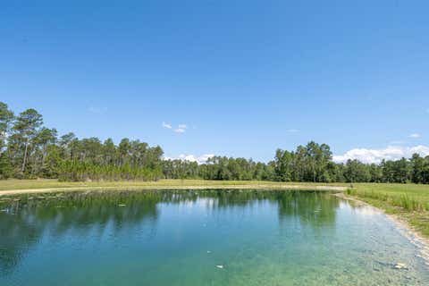 Tiny photo for 25516 Cinelli Lake Circle, Hosford, FL 32334 (MLS # 401531)