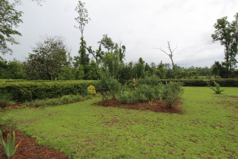Tiny photo for 272 NE Dusty Miller Avenue, Madison, FL 32340 (MLS # 401322)
