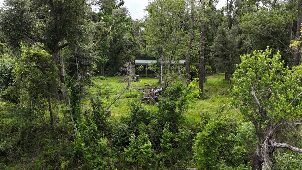 Photo of 0000 NE Chervil Drive, Lee, FL 32059 (MLS # 400651)