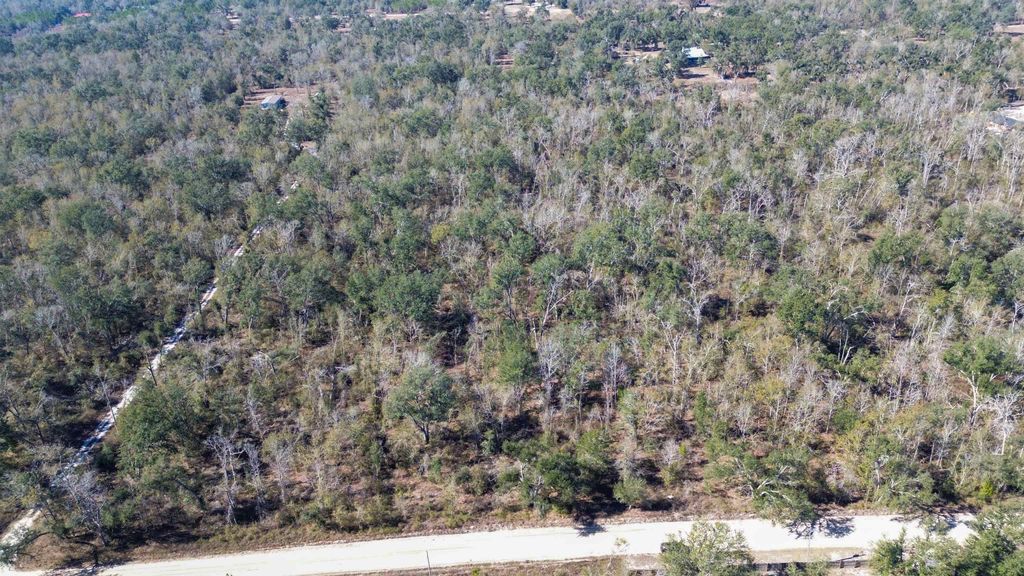 Photo of 000 SE KACHINA Avenue, Lee, FL 32059 (MLS # 395406)