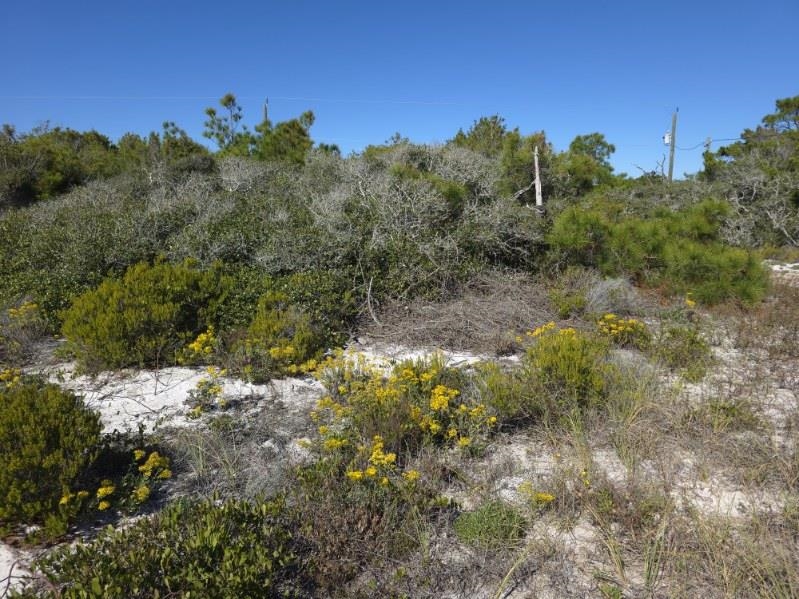 682 Gulf Shore Drive