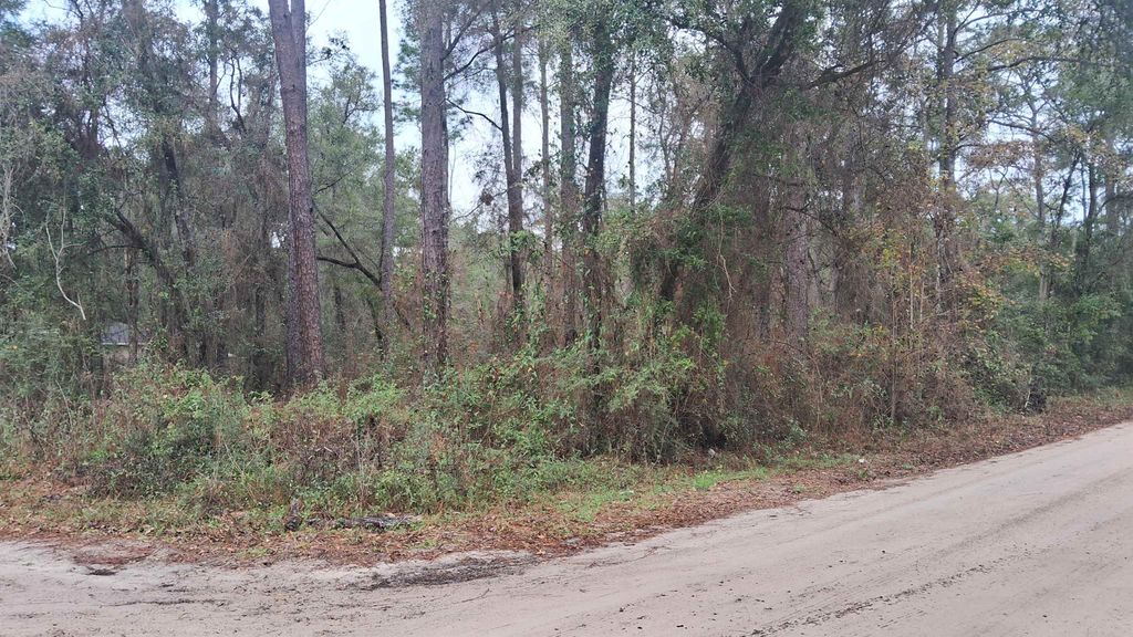 Photo of 0 Choctaw Road, Crawfordville, FL 32327 (MLS # 396159)