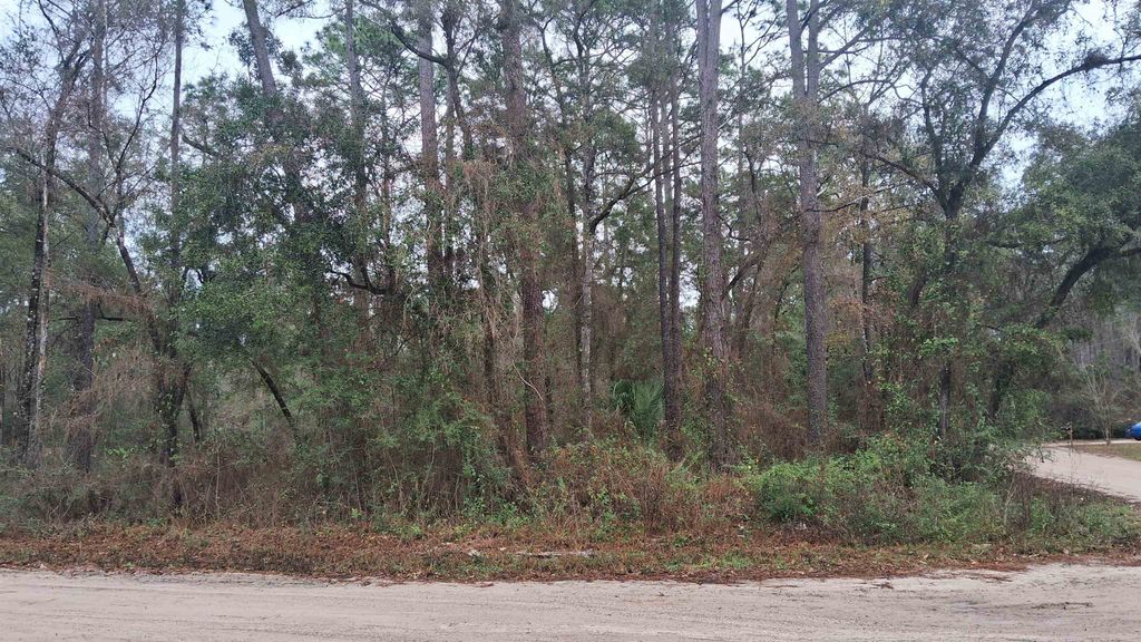Photo of 0 Choctaw Road, Crawfordville, FL 32327 (MLS # 396159)