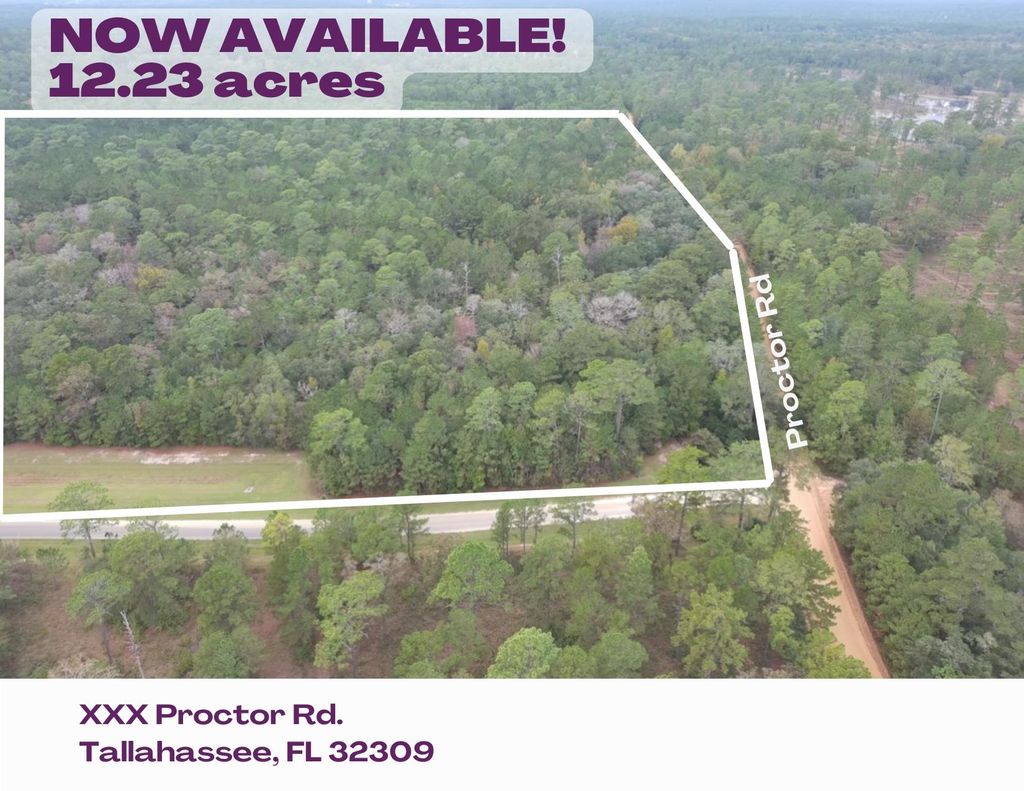 Photo for 0 Proctor Road, Tallahassee, FL 32309 (MLS # 388191)