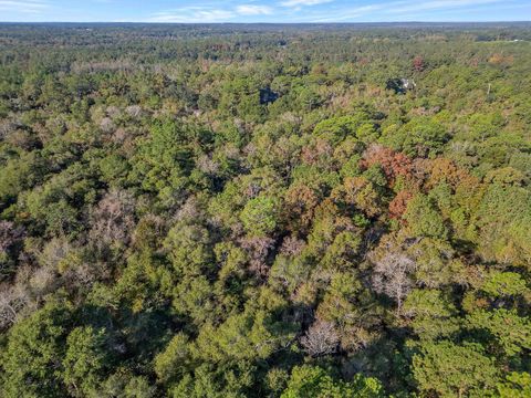 Tiny photo for xxxx Forest Run Drive, Tallahassee, FL 32317 (MLS # 395539)