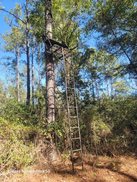 Tiny photo for 0 Smith Creek Road, Tallahassee, FL 32310 (MLS # 400581)