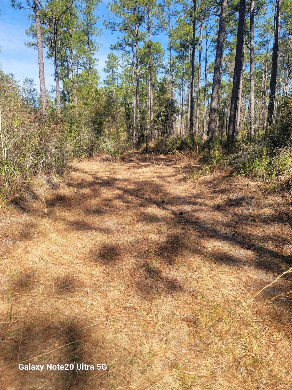 Photo of 0 Smith Creek Road, Tallahassee, FL 32310 (MLS # 400581)