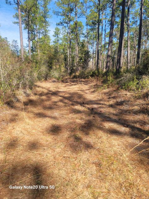 Photo of 0 Smith Creek Road, Tallahassee, FL 32310 (MLS # 400581)