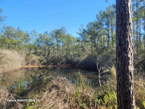 Tiny photo for 0 Smith Creek Road, Tallahassee, FL 32310 (MLS # 400581)