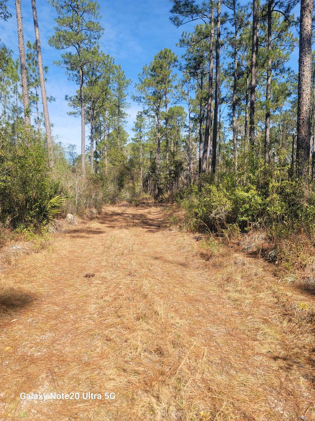 Photo of 0 Smith Creek Road, Tallahassee, FL 32310 (MLS # 400581)